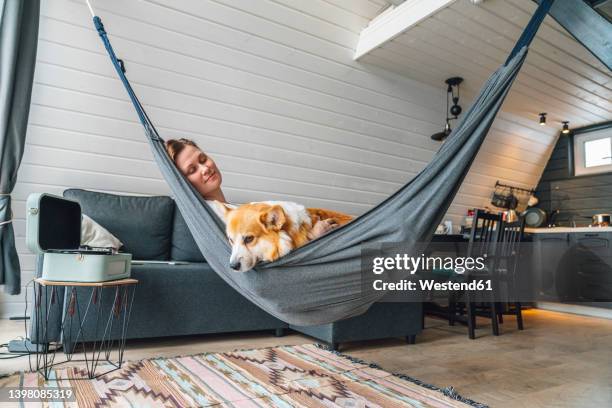 woman relaxing on hammock with dog at home - dog resting stock pictures, royalty-free photos & images