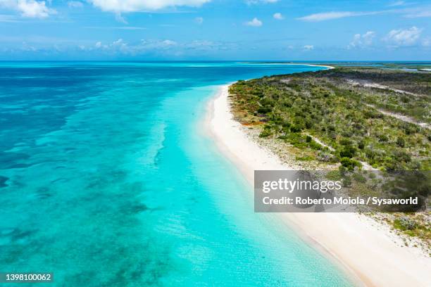 white sand beach washed by caribbean sea, overhead view - barbuda stock pictures, royalty-free photos & images