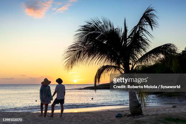 man and woman in love watching sunset on a beach - antigua and barbuda stock pictures, royalty-free photos & images