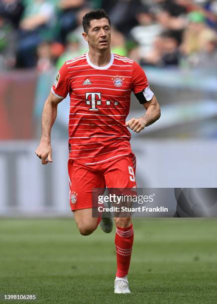 Robert Lewandowski of Bayern Munich in action during the Bundesliga match between VfL Wolfsburg and FC Bayern München at Volkswagen Arena on May 14,...
