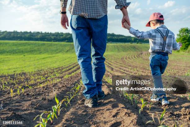 father showing his son the family business. - farm family stockfoto's en -beelden