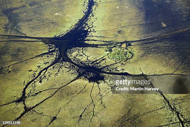 aerial view of animal pathways and island in the central okavango wilderness area of the delta. paths mainly created by hippopotamus and elephants. - okavango delta stock pictures, royalty-free photos & images
