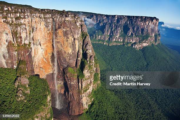 angel falls, canaima national park, venezuela, south america - venezuela stockfoto's en -beelden