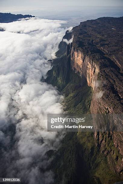 roraima is the highest tepui reaching 2810 meters in elevation. these cloud covered flat top mountains are considered to be some of the oldest geological formations on earth, venezuela, south america - mt roraima stock pictures, royalty-free photos & images