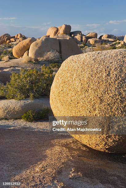 Jumbo Rocks Joshua Tree Jumbo Rocks Photos and Premium High Res Pictures - Getty Images