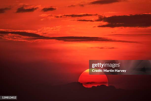 sunset, maasai mara, kenya, africa - dramatic sky red stock pictures, royalty-free photos & images