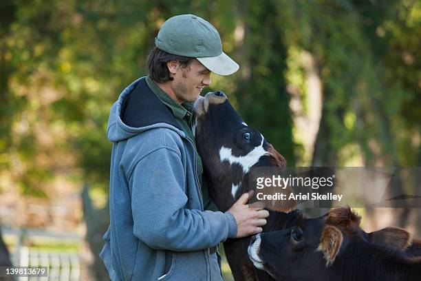 mann, umarmen kalbsleder - cow stock-fotos und bilder