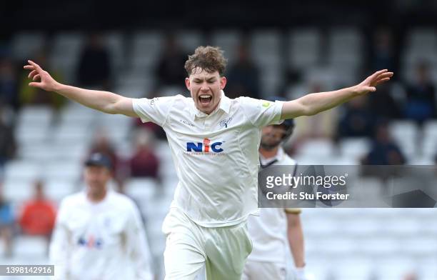 Yorkshire bowler Matthew Revis celebrates after taking the wicket of Warwickshire batsman Sam Hain during the LV= Insurance County Championship match...