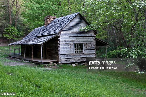 restored noah bud ogle log cabin 1883-1925, first settler cabin with cornfields and mill. great smoky mountains national park, roaring fork motor nature trail, tennessee, usa - roaring fork motor nature trail bildbanksfoton och bilder