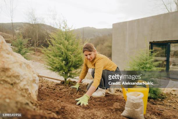 mujer joven plantando la semilla de hierba en su patio trasero - sembrar fotografías e imágenes de stock