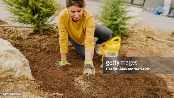 mujer joven plantando la semilla de hierba en su patio trasero - casting fotografías e imágenes de stock