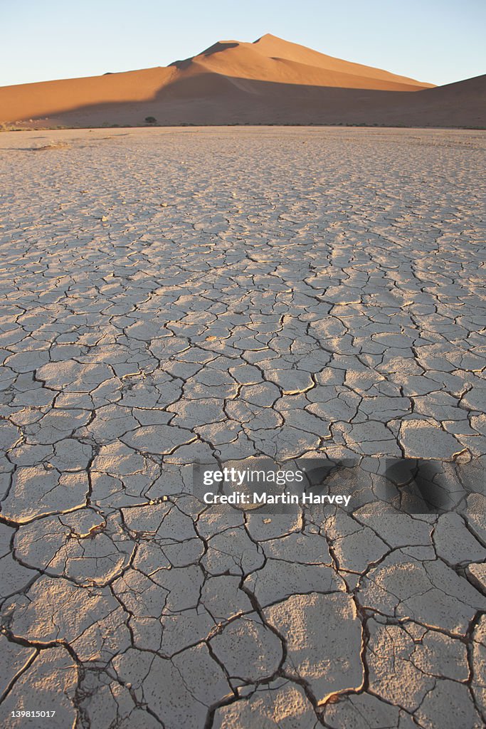 Cracked dried mud with dune in background. Sossusvlei in the Namib desert. Namib-Naukluft National Park, Namibia, Africa