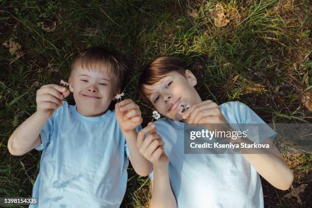 a small european fair-haired boy with down syndrome lies on the grass in the park in a blue t-shirt and jeans holds daisies in his hands together with his older brother look at the camera and smile - kind camera bloemen stockfoto's en -beelden