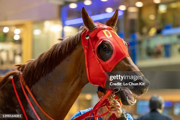 Telecom Cheetah wins the Race 3 Tung Lung Chau Handicap at Happy Valley Racecourse on May 18, 2022 in Hong Kong.