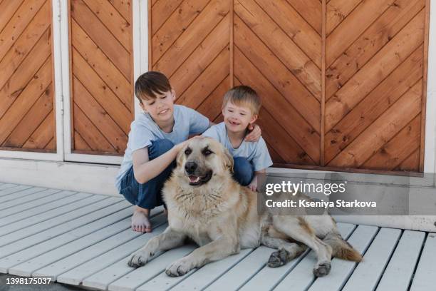 a little european fair-haired boy with down syndrome plays with a dog along with his older brother - fair haired boy stock-fotos und bilder