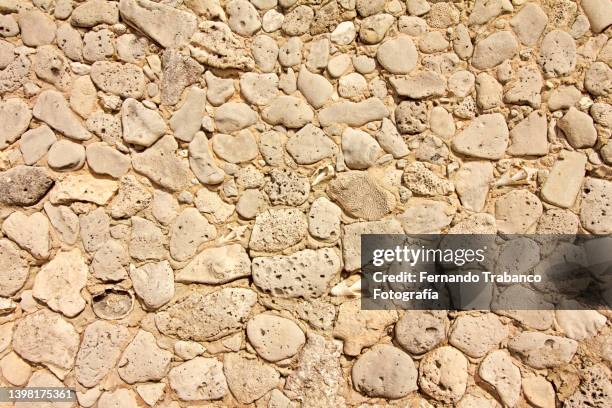 stone wall with fossils - sandstone wall stockfoto's en -beelden