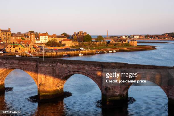 sunrise, berwick-upon-tweed, old bridge, northumberland, england - romeinse brug stockfoto's en -beelden