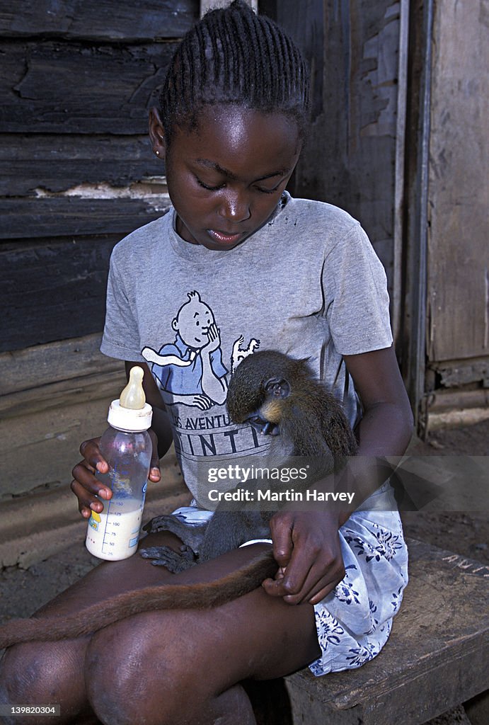Orphaned Moustached Monkey kept as pet by local village girl, Central Africa