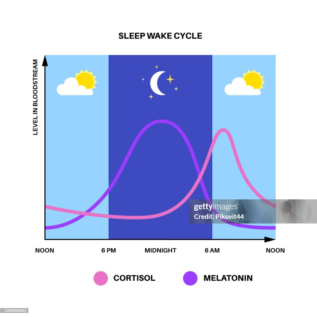 Sleep wake cycle