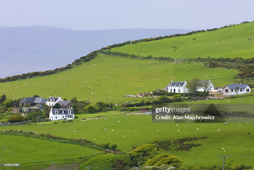 Rural scene. Isle of Arran. Scotland, UK