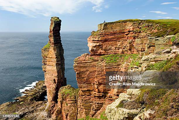 the old man of hoy, a 450 tall sea stack on the western coast of isle of hoy. orkney islands, scotland, uk - orkney islands bildbanksfoton och bilder