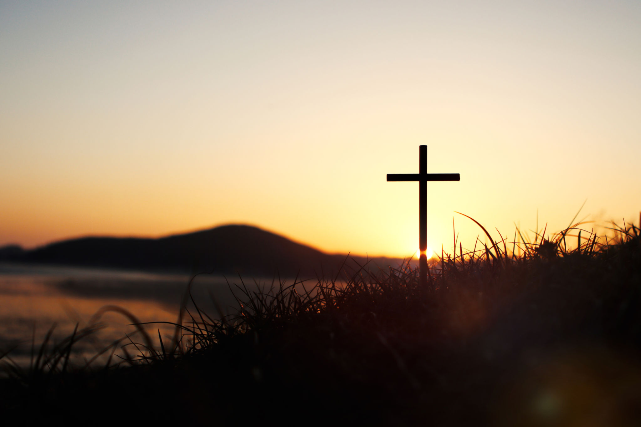 nature cross