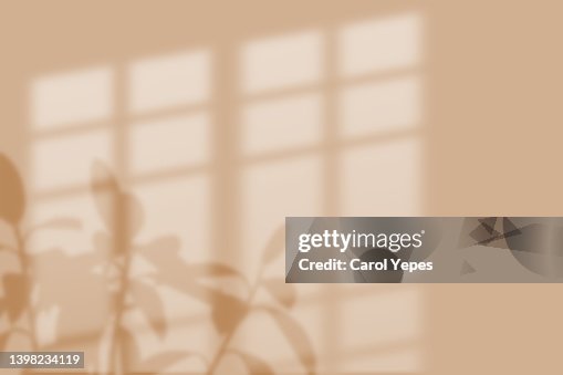 Blurred flowers shadow wall pastel beige background. Blurred flowers shadow wall pastel beige background.
