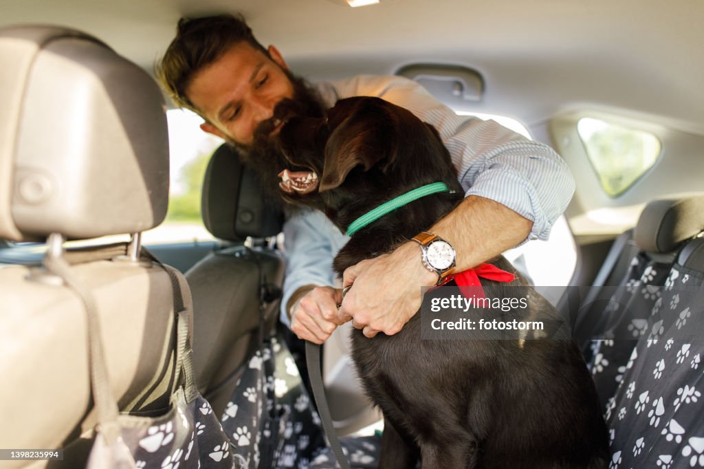 Smiling young man typing a leash on his dog who is sitting on the backseat of a car