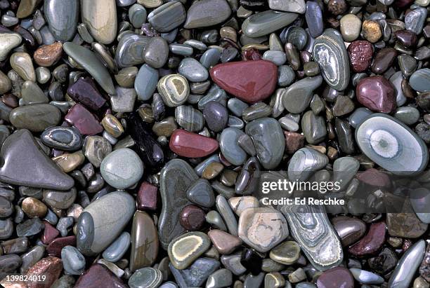Soft Pebble Rocks Smooth Pebbles Of Sedimentary Rock Glacier National Park Montana High ...