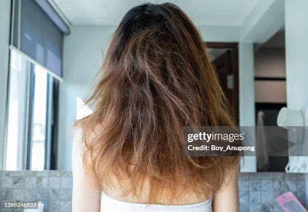 rear view of woman with her messy and damaged split ended hair. - cabello desmelenado fotografías e imágenes de stock