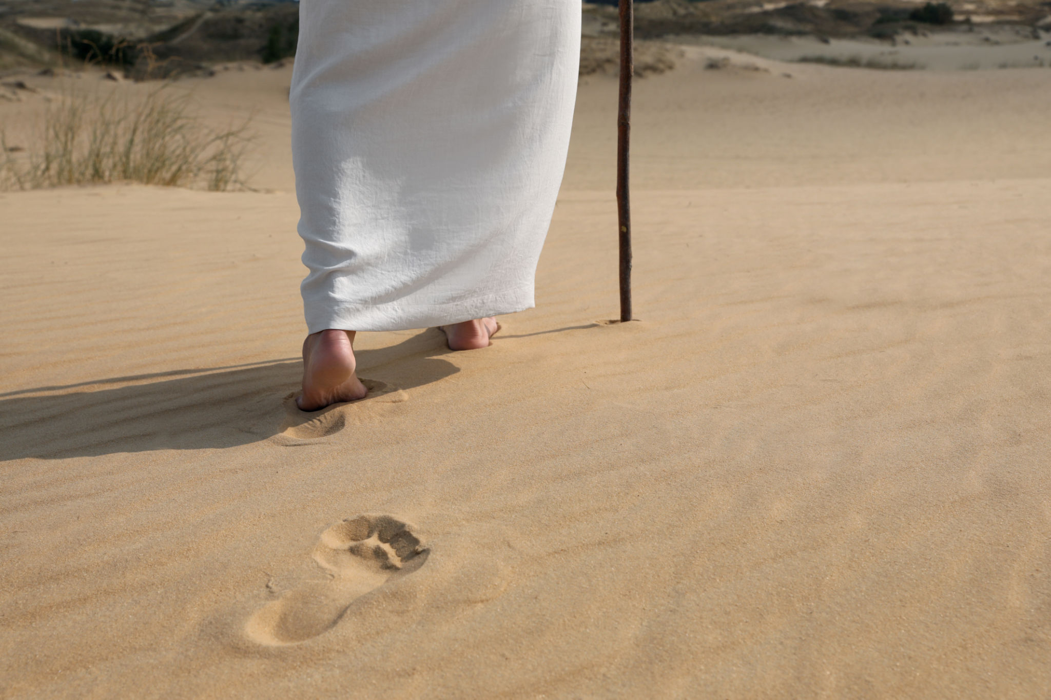 desert trail walking