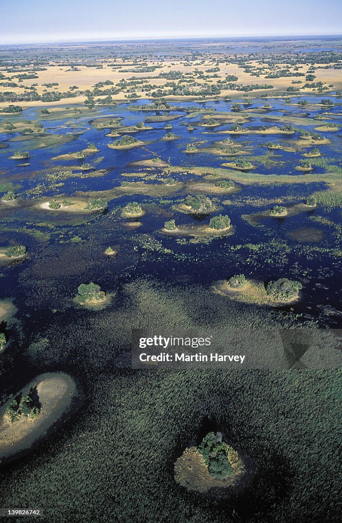 Aerial view of islands and waterways of Central Okovango Wilderness Area in the Okovango Delta, Botswana.