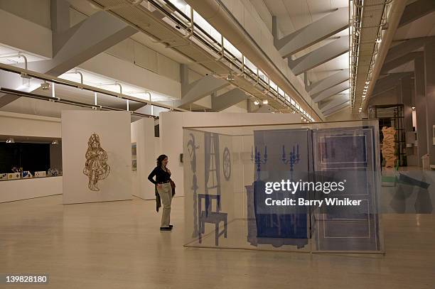 woman looking at installation by ana vieira titled 'ambient, dining room, 1971' on display at the modern art centre jose de azeredo perdigao, part of the calouse gulbenkian foundation, lisbon, portugal - modern sculpture stock pictures, royalty-free photos & images