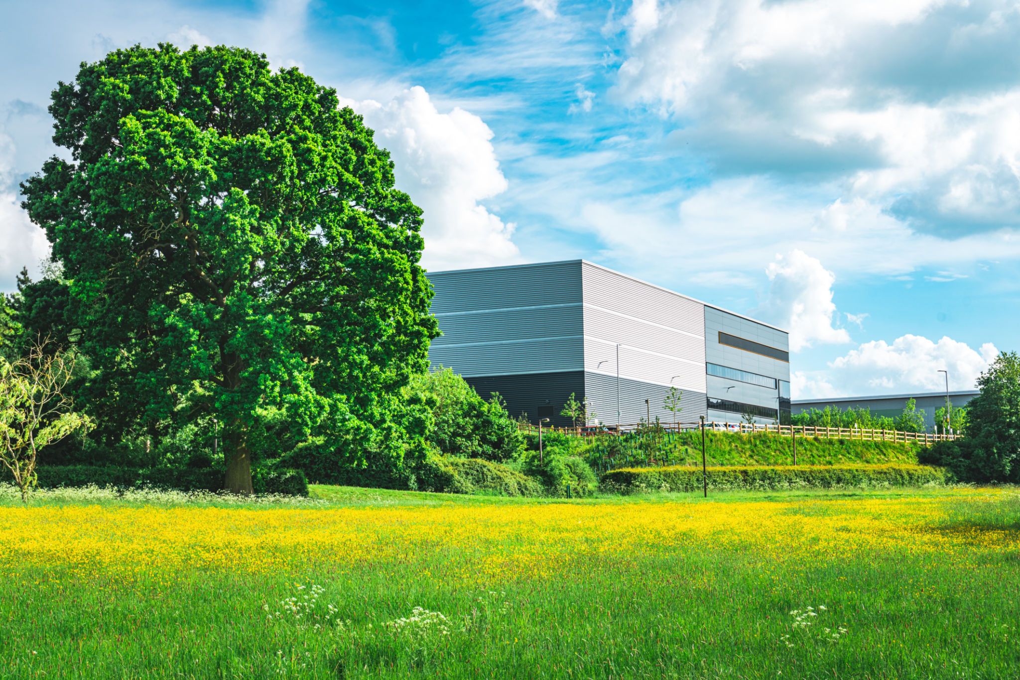 green manufacturing