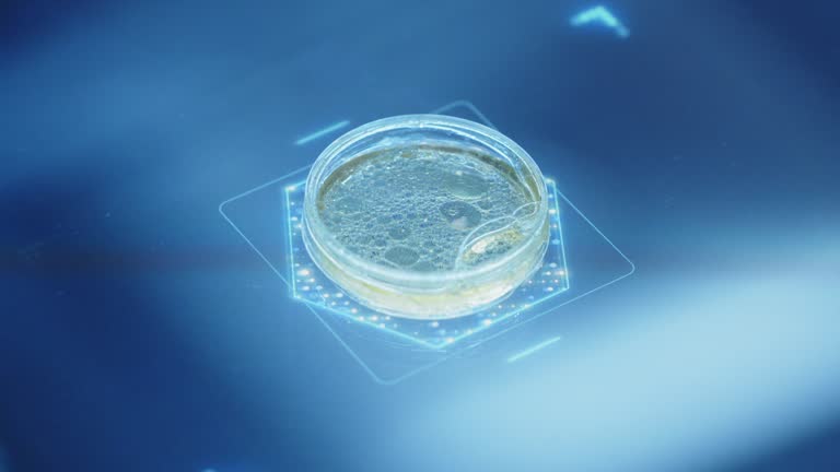 https://media.gettyimages.com/id/1398288816/video/a-futuristic-scanning-of-a-liquid-in-a-petri-dish-with-a-hud-table-and-a-hand-in-protective.jpg?b=1&s=640x640&k=20&c=dxL-1ICinrlV3eRvsO9a9g76n67tDMow6kNpSgLxwZs=