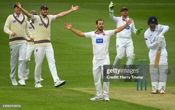 Steven Renshaw Steven Davies Cricket Photos and Premium High Res Pictures - Getty Images