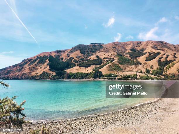 cable bay views in new zealand - new zealand beach stock pictures, royalty-free photos & images