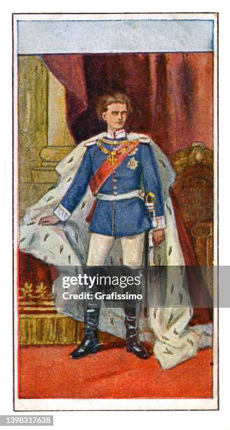 ludwig ii the fairy tale king of bavaria art nouveau illustration - king ludwig ii of bavaria stock illustrations