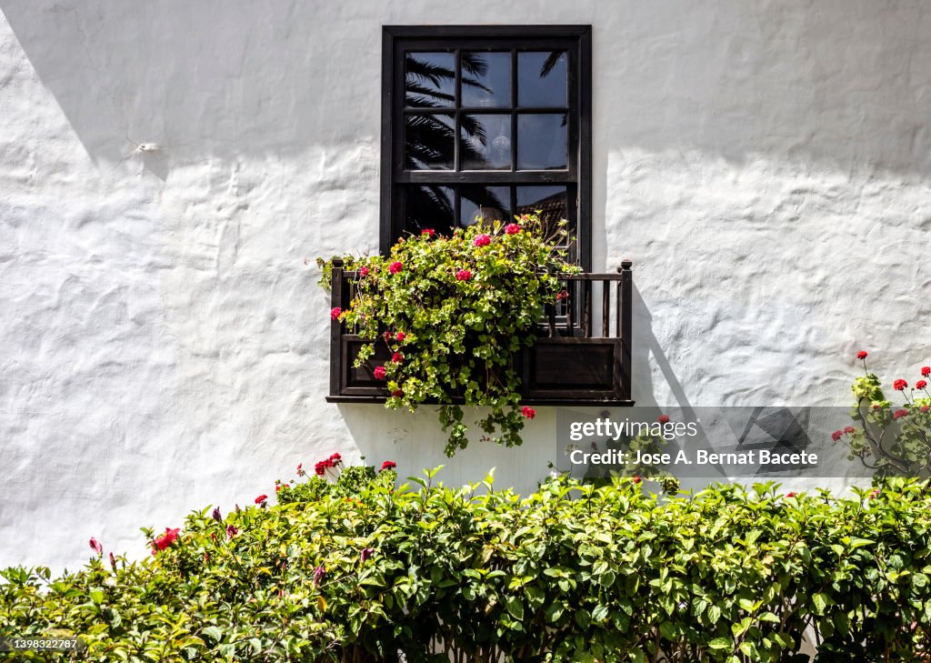 White facade with a wooden balcony adorned with flower pots.