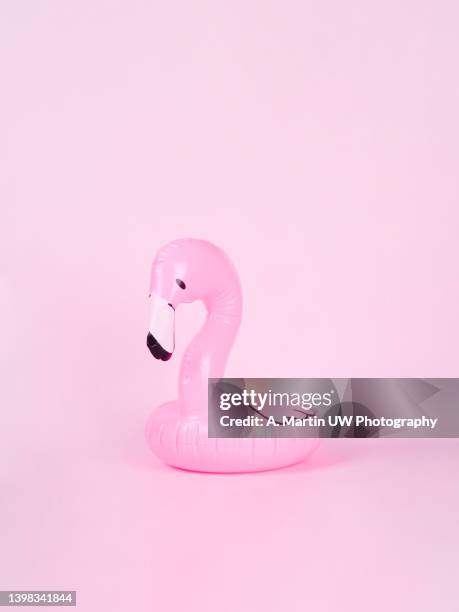 flamingo float on a pink background. summer concepts. - long neck animals fotografías e imágenes de stock