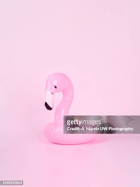 flamingo float on a pink background. summer concepts. - feather floating stock pictures, royalty-free photos & images