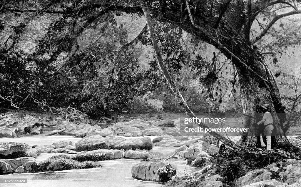 Lacandon Jungle in Chiapas, Mexico - 19th Century