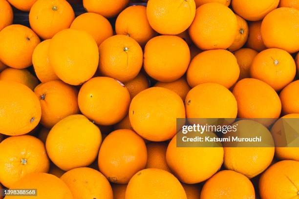 navel orange collective background - ネーブルオレンジ ストックフォトと画像