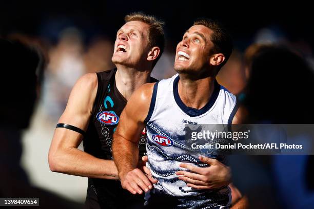 Sam Hayes of the Power and and Tom Hawkins of the Cats contest the ruck during the round 10 AFL match between the Geelong Cats and the Port Adelaide...
