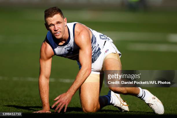 Joel Selwood of the Cats reacts after colliding with Lachie Jones of the Power during the round 10 AFL match between the Geelong Cats and the Port...