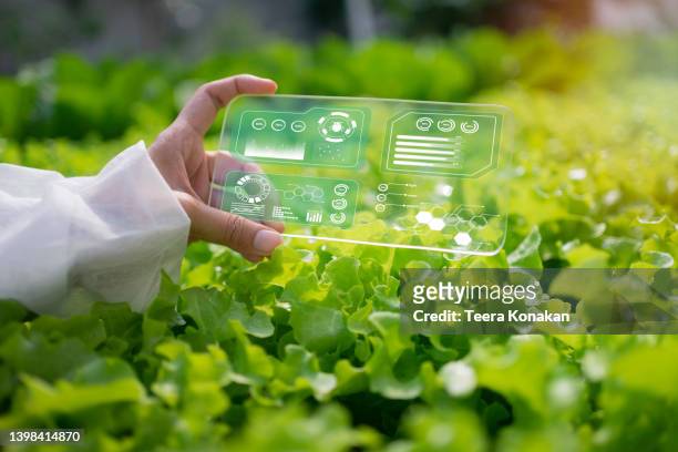 smart farm and farm technology concept - digital farming stock pictures, royalty-free photos & images