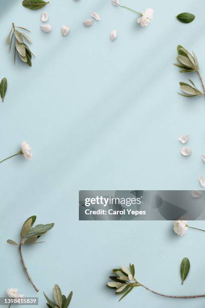 white flowers and green leaves frame in soft pastel blue background.top view - wedding stock-fotos und bilder