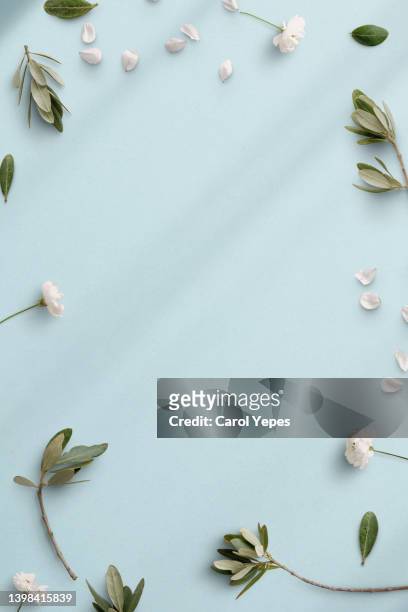white flowers and green leaves frame in soft pastel blue background.top view - wedding background foto e immagini stock