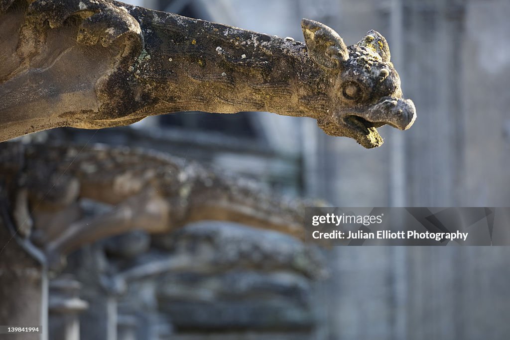A gargoyle watches over the cloisters of St Gatien cathedral in Tours, France.