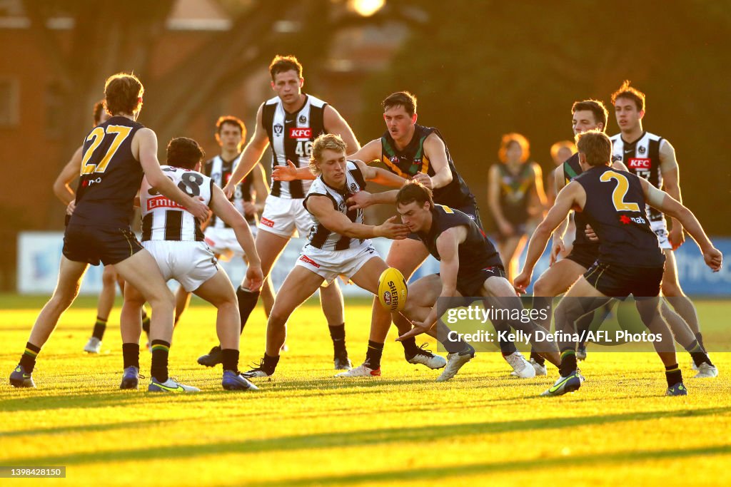 AFL Academy v Collingwood